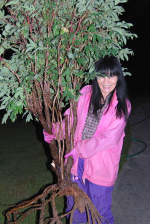 Marie Holding Tree Peony